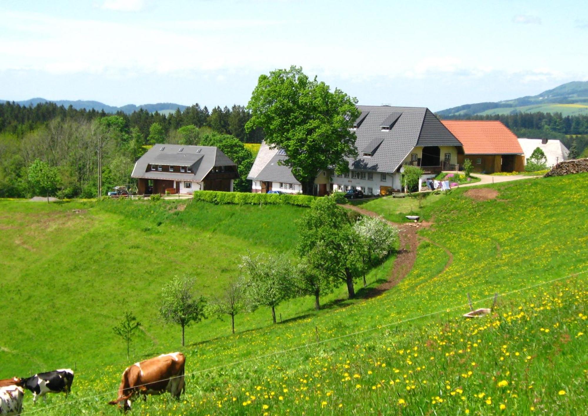 Brosihof Leilighet Erlenbach  Eksteriør bilde