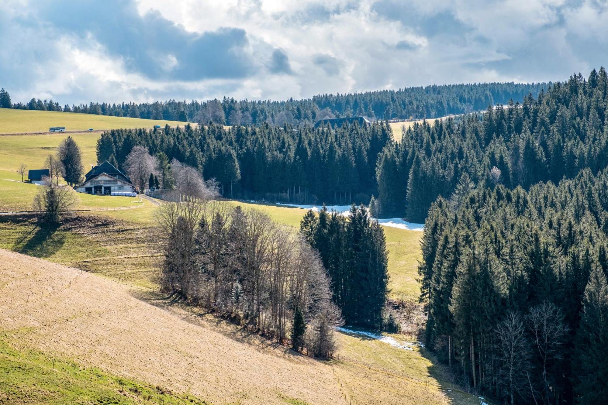 Brosihof Leilighet Erlenbach  Eksteriør bilde