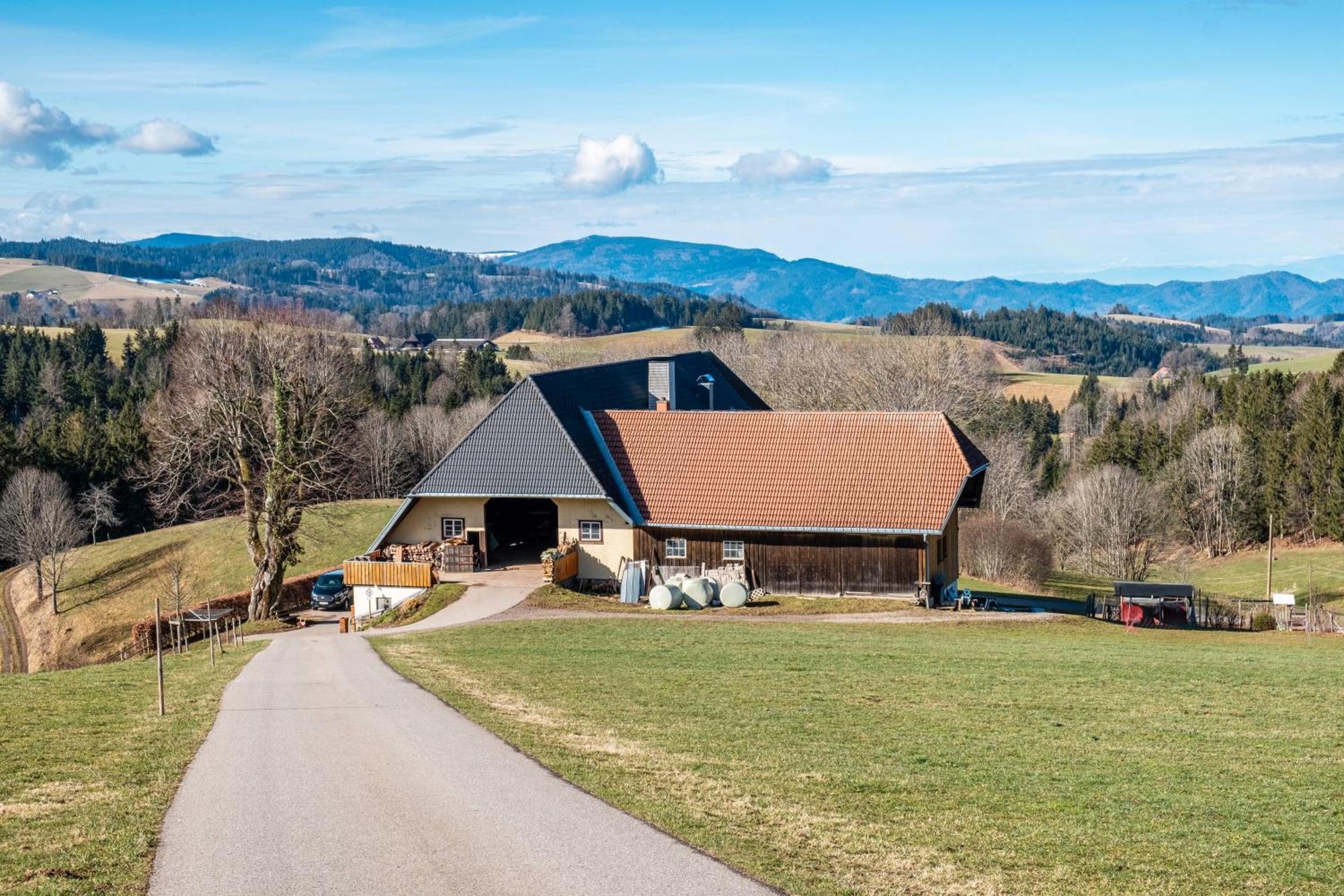 Brosihof Leilighet Erlenbach  Eksteriør bilde